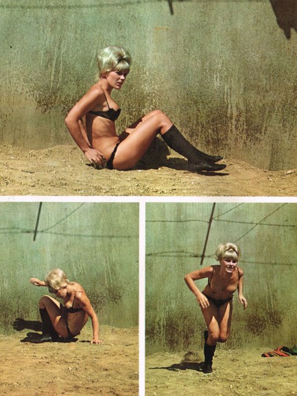 Next photo of Elke Sommer