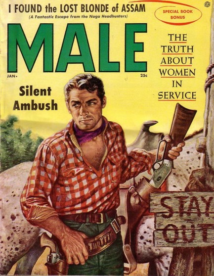 Pulp International - Assorted vintage covers of Male