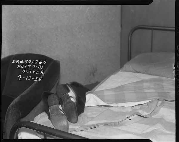 Rus ayolning mushukidagi jinsiy aloqa