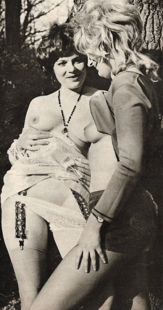 Түлкімен эротикалық ойын